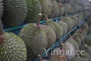 草鱼咋做好吃，草鱼咋做好吃又简单孩子爱吃