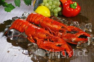 蒜蓉虾的做法小龙虾，蒜蓉小龙虾的做法大全图解