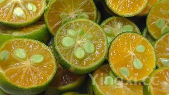 黄瓜20种吃法，黄瓜的15种家常吃法