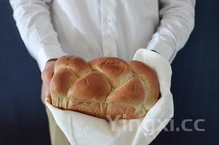 生蚝怎么清洗内脏步骤，生蚝怎么清洗内脏