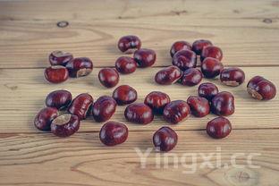 糖炒栗子，糖炒栗子的热量