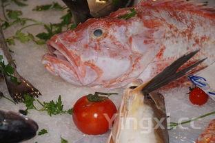 中国十大最干净鱼，老年人吃什么鱼最好