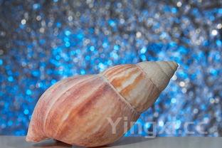 延边精制白酒怎么样，品质口感等方面究竟有着怎样的表现？