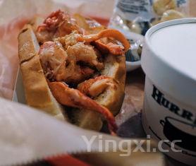 波士顿大龙虾怎么做，波斯顿大龙虾做法