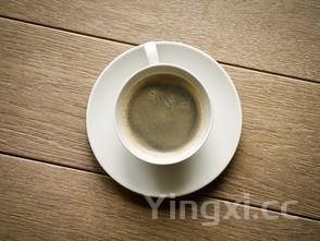 朋友小聚喝啥白酒？这些选择让欢聚时刻更添滋味