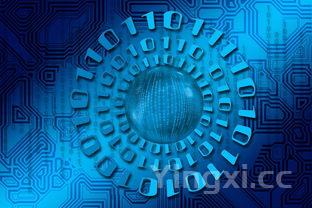 如何看待白酒基金：现状、趋势与投资策略深度剖析